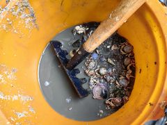 -北海金海湾红树林生态旅游区