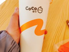 CoCo可可牛奶-CoCo都可(北京西站北广场店)