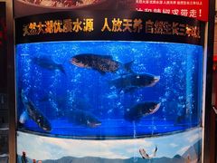 -潇湘码头·鲜湘菜(清河店)