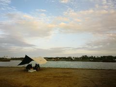 -春花秋色城市公园