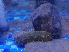 -映像威海·威海宴(威高广场店)