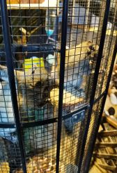 -酷嗒动物文化乐园(cutezoo西溪乐天城店)