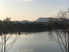 -羊山湖公园