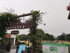 -田园东方蜜桃村的田野营地
