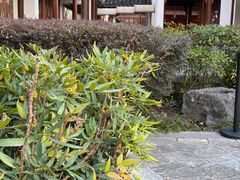 -江宁织造博物馆