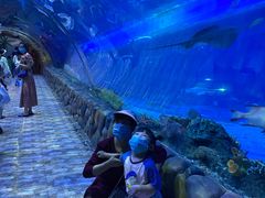 -华夏文旅海洋公园