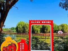 -泗洪洪泽湖湿地景区