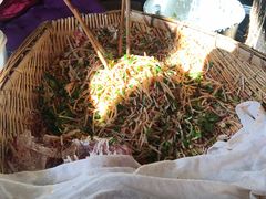 -半月镰胡姐脆皮萝卜饺子