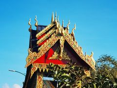 -西双版纳傣族园