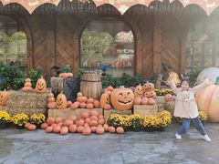 -郑州方特梦幻王国