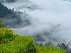 -石潭村