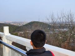 -上海佘山国家森林公园西佘山园