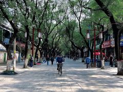 -咸阳湖景区