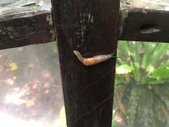 -呀诺达热带雨林