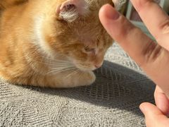 -平行世界·猫咖(首经贸店)