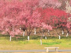 -蜀冈西峰生态公园