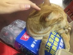 -玉华饮食店(茅台路店)