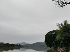 -苏家围·东江画廊旅游景区
