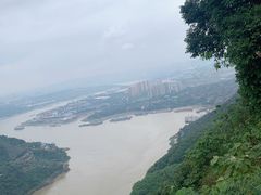 -铁山坪森林公园