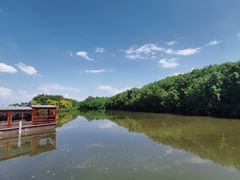 -大湾区中央湿地公园