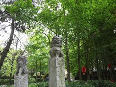 -户县老龙窝酒厂