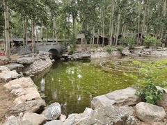 -尚庄度假村·庭台树下·户外烧烤·团建CS·轰趴营地(上庄水库店)