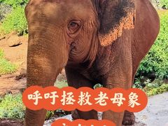 -海南热带野生动植物园