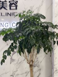 -上海漾颜医疗美容