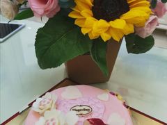 -哈根达斯(龙湖时代天街店)