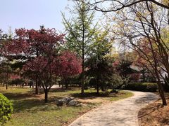 -正阳门饭庄·烤鸭·北京菜(万丰路七里庄店)