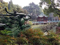 -申粤轩酒楼·三十年粤菜经典(丁香花园店)