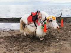 -青海湖国家重点风景名胜区
