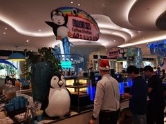 -帝企鹅自助餐厅•儿童岛•真企鹅(长隆企鹅酒店)