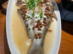 特色豆瓣酱蒸大白刁-鸽舞笙平金牌烧鸽子·融合菜(鲁谷店)