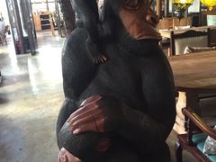 -Africafe(非洲咖啡)