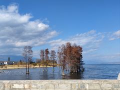 -大理洱海