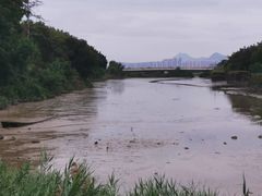 -福田红树林生态公园