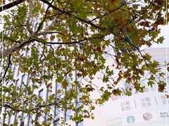 -杭州当代美术馆