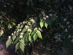 -辽宁大学(崇山校区)