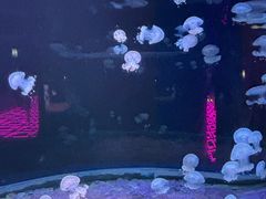 -欢乐海岸海洋奇梦馆