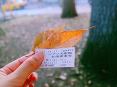 -三鹰之森吉卜力美术馆