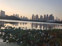 -月湖风景区