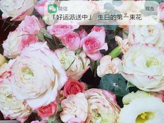 -羽鸽集·乳鸽专门店·地道顺德菜(岭南站店)