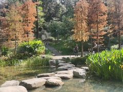 -云溪植物园