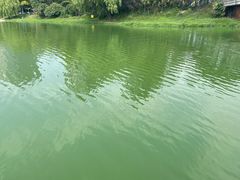 -美兰湖景区