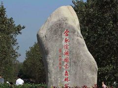 -合肥滨湖国家森林公园