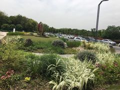 -同里国家湿地公园