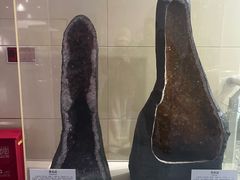 -延庆地质公园博物馆