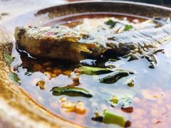 -谭记石锅鱼府(三道堰店)