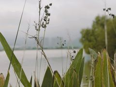 -长兴太湖图影湿地文化园